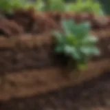 Close-up view of raised bed soil composition showing layers