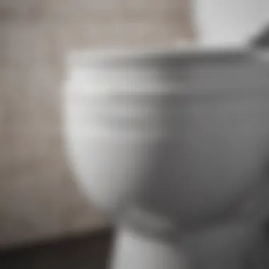 Close-up view of a toilet tank showing internal components.