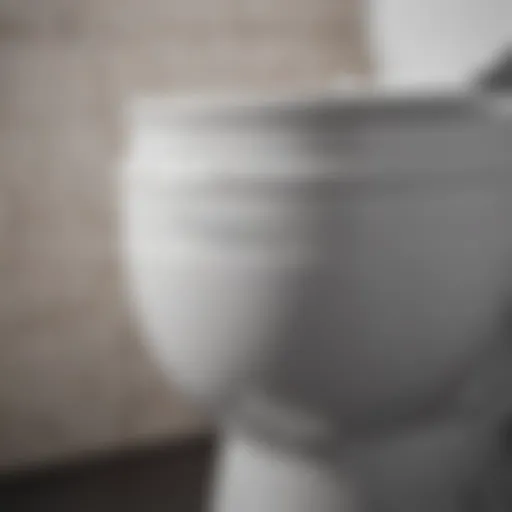 Close-up view of a toilet tank showing internal components.