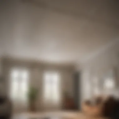 Application Technique for Painting Popcorn Ceilings Application technique for painting popcorn ceilings
