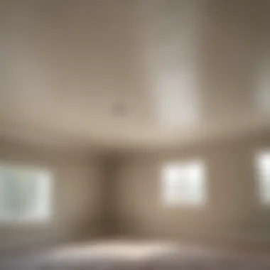 Maintained Popcorn Ceiling After Painting Maintained popcorn ceiling after painting