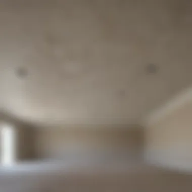 Textured Popcorn Ceiling Before Painting Textured popcorn ceiling before painting