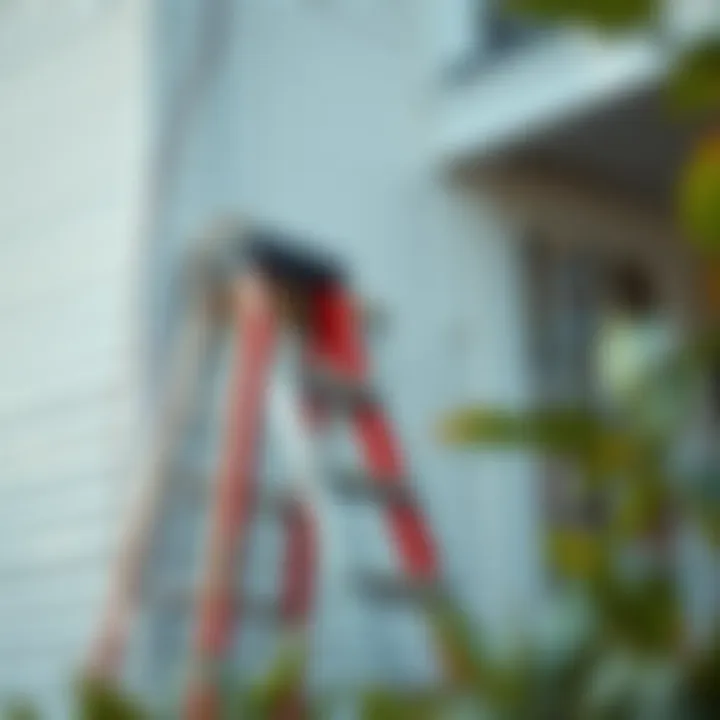 Preparation Work with Ladder A ladder set against a house, emphasizing the importance of preparation work.