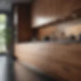 Elegant modern kitchen cabinets showcasing premium finishes