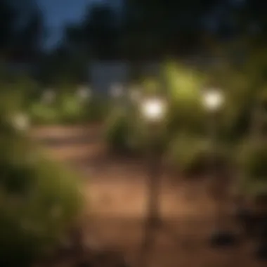 Comparison of Brightness Levels Comparison of brightness levels in various solar garden lights