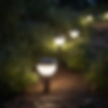 Stylish Solar Garden Lights in Landscaping Stylish design of solar garden lights complementing landscaping