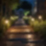 Vibrant solar garden lights illuminating a pathway