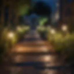 Vibrant solar garden lights illuminating a pathway