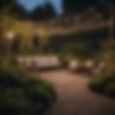 Tranquil garden illuminated by string lights at dusk