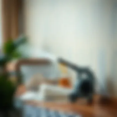 Maintenance tips for a wall steamer displayed visually