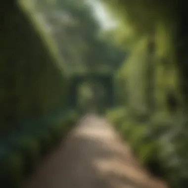 Lush garden hedges lining a pathway