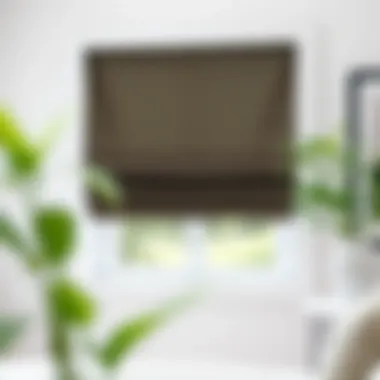 Notable Window Treatment Ideas for Small Windows: Maximizing Style and Functionality