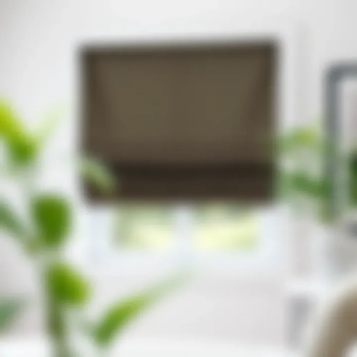 Notable Window Treatment Ideas for Small Windows: Maximizing Style and Functionality